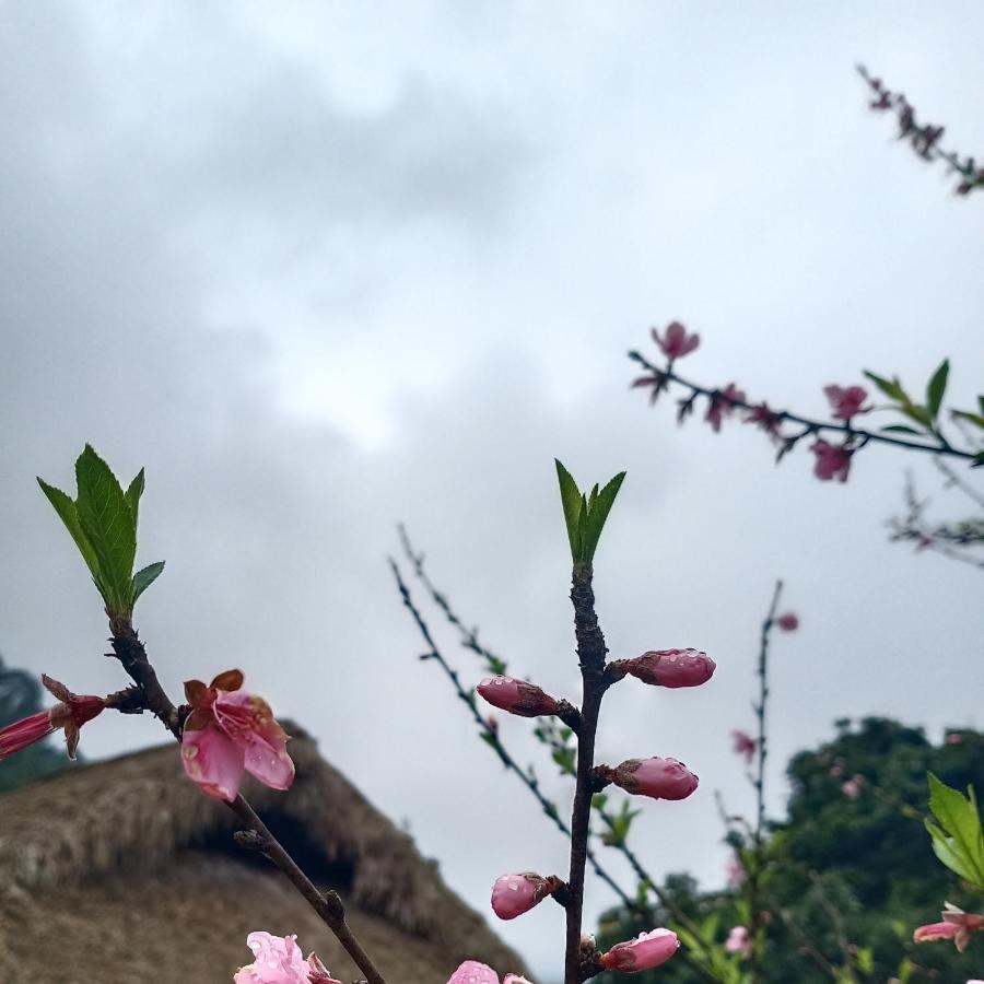 Dao Homestay Hoang Su Phi Esterno foto