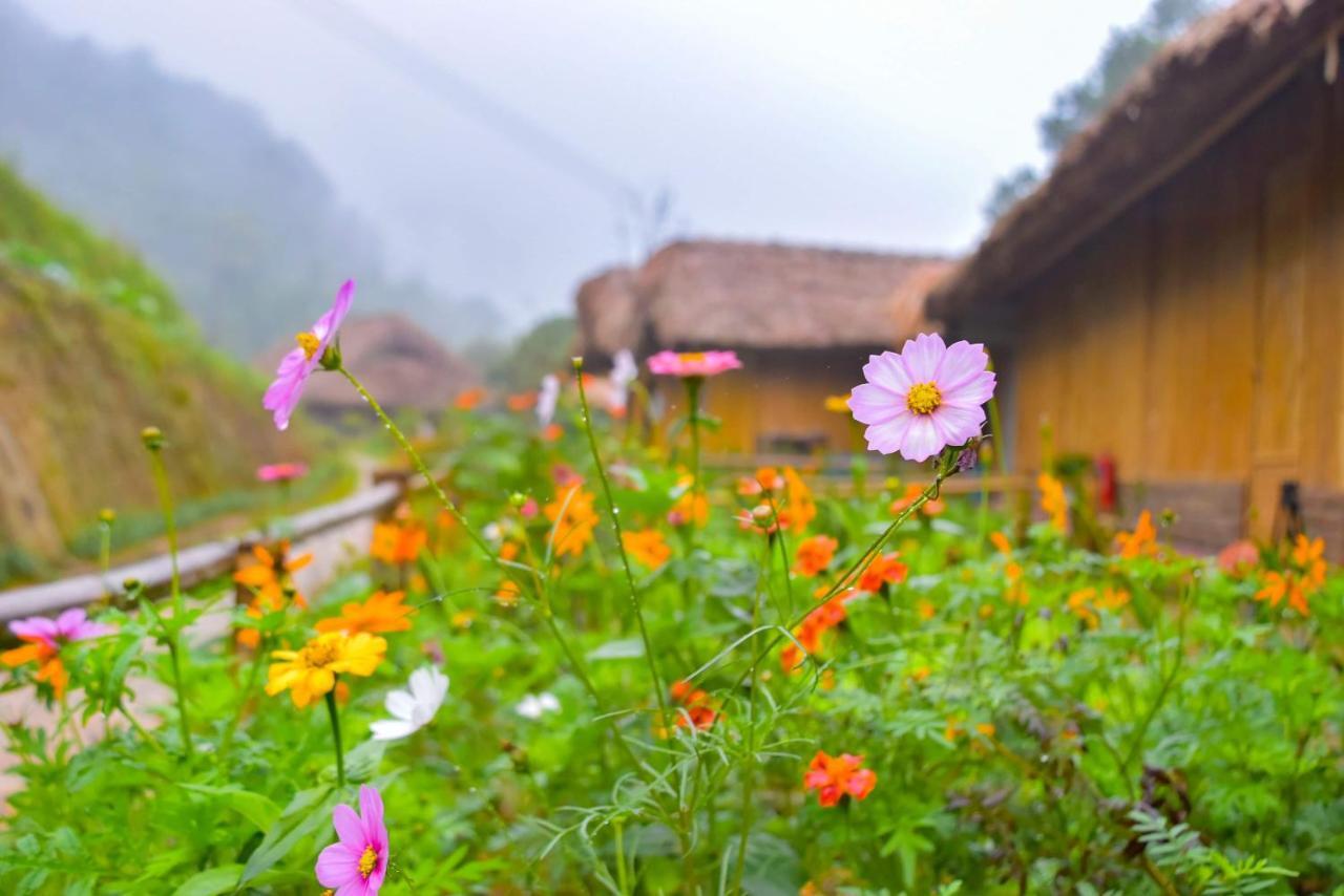 Dao Homestay Hoang Su Phi Esterno foto